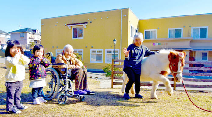 高齢者住宅の“アイドル” ミニチュアホース「もも」 みんなの癒やしに 名張