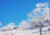 厳冬期の三峰山へ 「霧氷まつり」17日から土日祝 奈良・御杖村