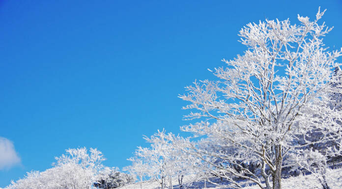 厳冬期の三峰山へ 「霧氷まつり」17日から土日祝 奈良・御杖村