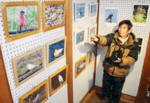 自然伝える写真展 やなせ宿で2月6日まで 名張