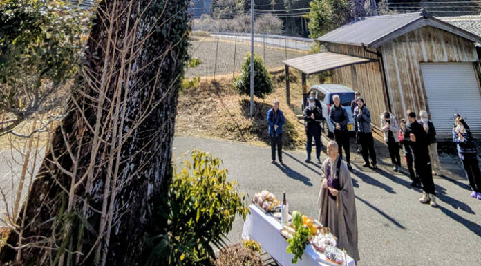 イチョウの巨木、伐採へ 地区のシンボルと別れ 伊賀市諸木