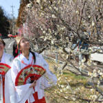 梅ほころび春の気配 杉谷神社で見頃 名張
