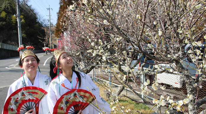 梅ほころび春の気配 杉谷神社で見頃 名張