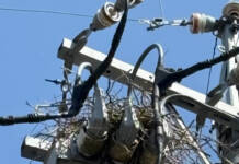 電柱の鳥の巣、投稿して 中電PGが三重・愛知でキャンペーン