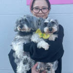 らぶペット 私のかけがえのないパートナー 伊賀・上田さん