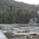 山中で白骨化した男性遺体見つかる 名張市大谷