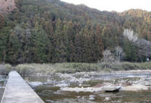 山中で白骨化した男性遺体見つかる 名張市大谷