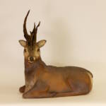 市展「いが」 18日から展覧会 コンサートも