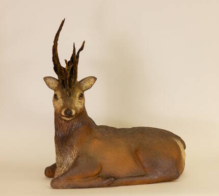 市展「いが」 18日から展覧会 コンサートも