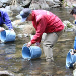 滝川にアマゴ40キロ放流 20日午前6時に渓流釣り解禁 名張