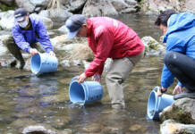 滝川にアマゴ40キロ放流 20日午前6時に渓流釣り解禁 名張