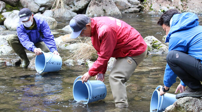 滝川にアマゴ40キロ放流 20日午前6時に渓流釣り解禁 名張