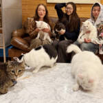 らぶペット 膝の上は順番制 猫6匹と暮らすダンス講師 名張