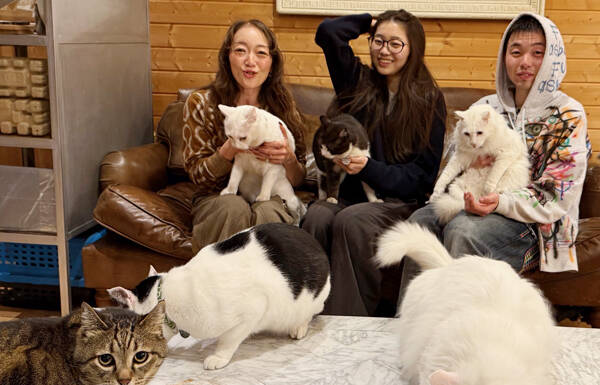 らぶペット 膝の上は順番制 猫6匹と暮らすダンス講師 名張