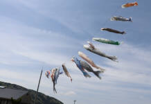 こいのぼり春風に泳ぐ 名張・百合が丘市民センター