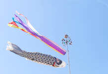 青空に心地良く泳ぐこいのぼり YOU通じ譲渡 伊賀・上野森林公園