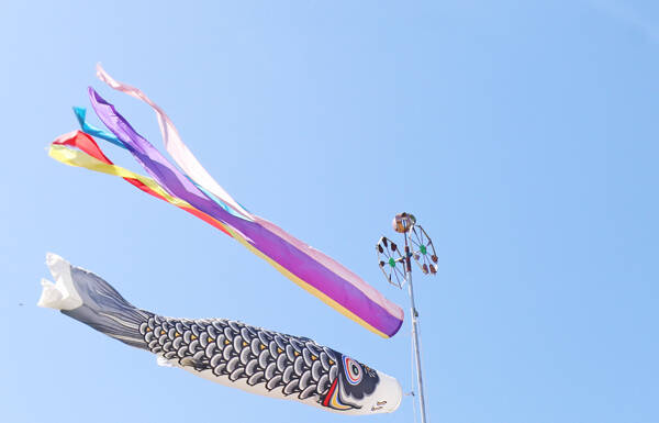 青空に心地良く泳ぐこいのぼり YOU通じ譲渡 伊賀・上野森林公園