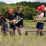 上野北小の児童が田植え体験 伊賀市の「西山の棚田」