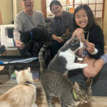 らぶペット 家族6人に猫7匹でにぎやかな毎日 名張市・奥本さん一家