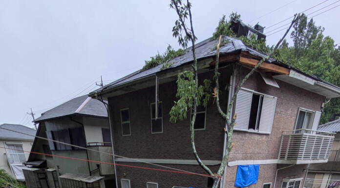 台風6号の強風か 倒木で住宅損壊、1人けが 名張市つつじが丘