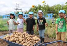 園児がジャガイモ収穫 住民提供の畑で 伊賀・いなこ保育園