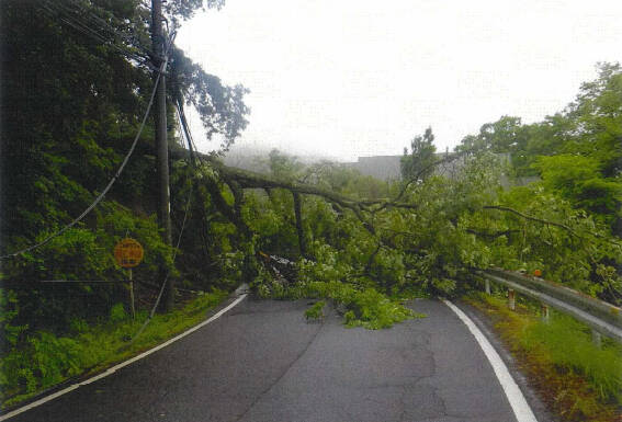 県道で倒木、電柱倒壊 最大1900戸停電 名張市中知山