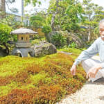 丹精込めたスギゴケの庭 伊賀市比土・辻本さん