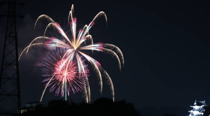 1500発の花火、伊賀の夜空彩る 市民花火大会