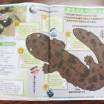 赤目の自然・歴史・文化楽しく学ぶ 地域の宝伝える冊子完成