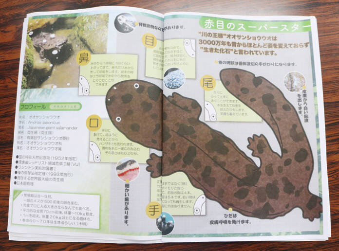 ok「さと・たからもの」④