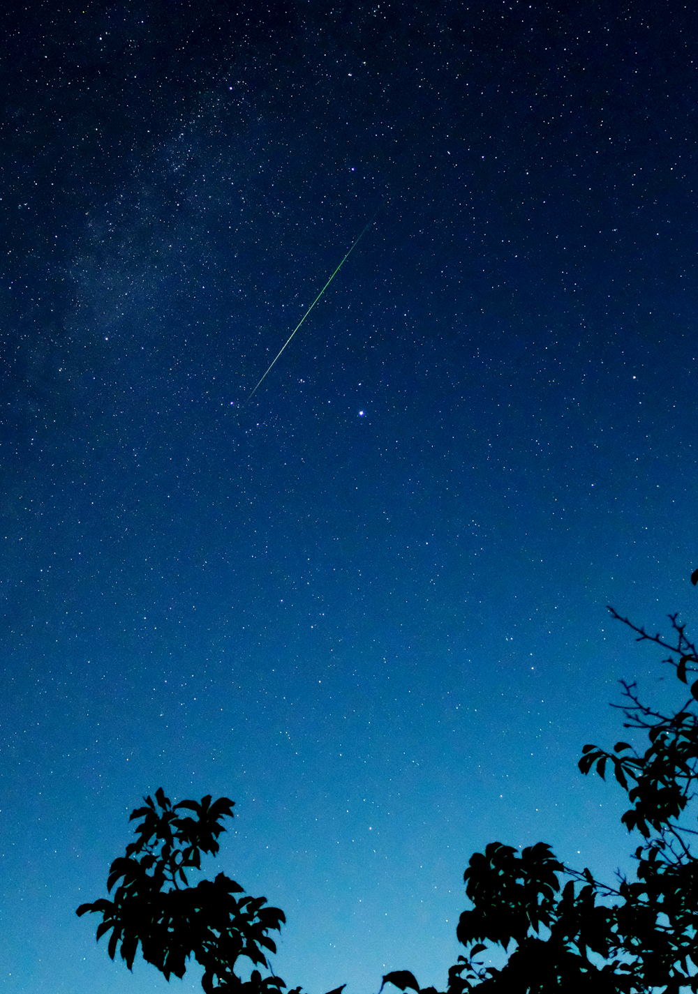 名張の夜空に流星の光 比奈知湖でペルセウス座流星群を撮影