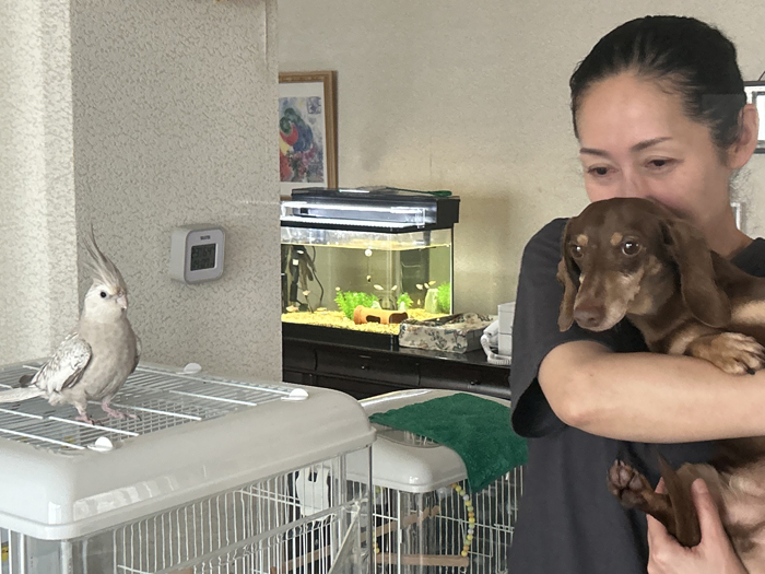 俺様犬と女王様インコ　「かけがえのない家族」名張・梶山さん