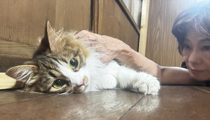 村岡さん支える愛猫メメ「かけがえのない家族」　名張