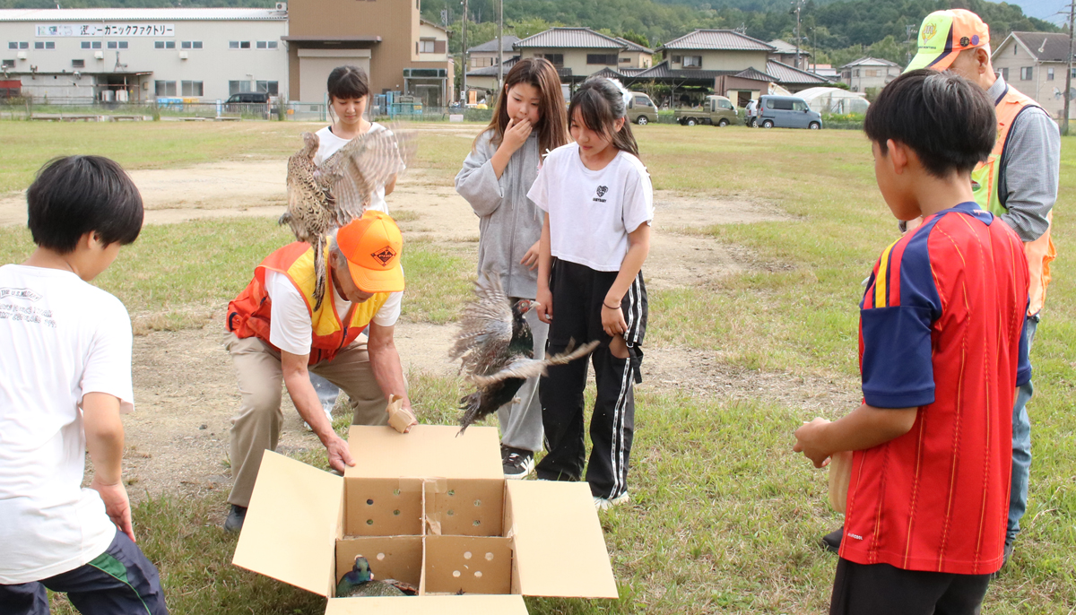 国鳥「キジ」20羽放鳥　錦生赤目小児童が見守る　名張