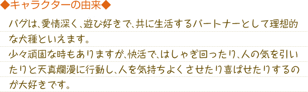パグは、愛情深く、遊び好きで、共に生活するパートナーとして理想的な犬種といえます。少々頑固な時もありますが、快活で、はしゃぎ回ったり、人の気を引いたりと天真爛漫に行動し、人を気持ちよくさせたり喜ばせたりするのが大好きです。