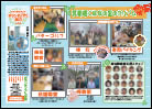 11号(PDF)