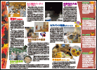 7号(PDF)